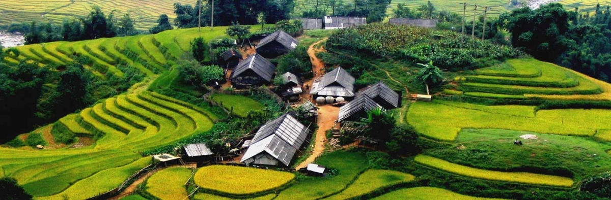 SAPA 