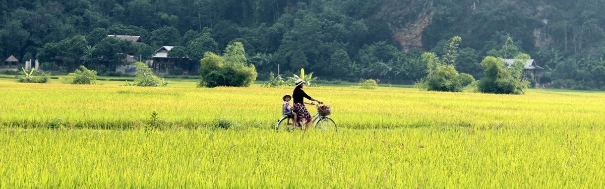 MAI CHAU 