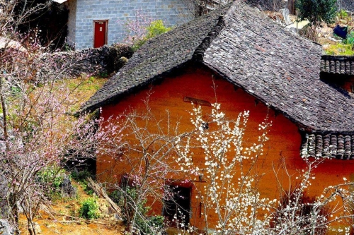What is Ha Giang in March? Find out what this "addictive" rock region is!