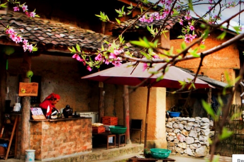 Experience of hunting Ha Giang peach blossom in March is the most complete