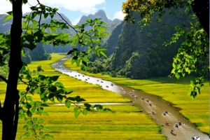 HOA LU-TAM COC DAILY TRIP