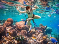 SNOKERLING OR ROCK CLIMBING TOUR DAILY TRIP