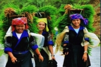 SAPA HARD TREKKING-3 NIGHTS 3 DAYS