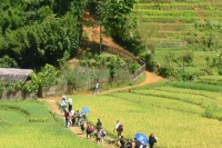 SAPA EASY TREKKING-2 Days 1 Night -By Bus