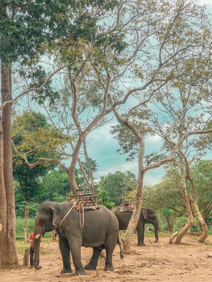 http://www.number1travelvietnam.com/