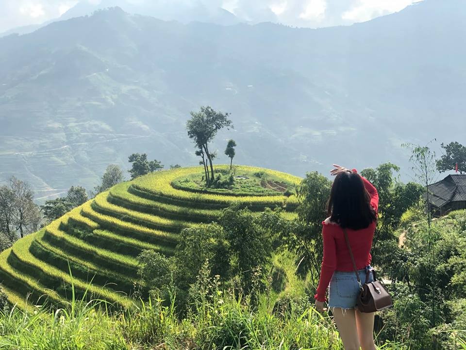 http://www.number1travelvietnam.com/index.php
