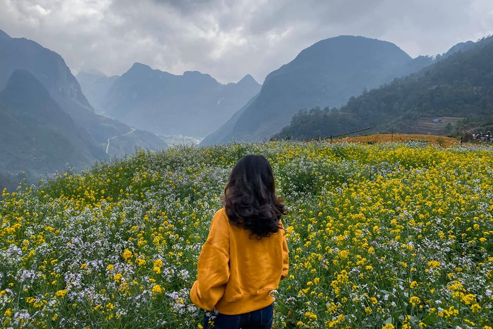 Many young people in the plains explore Ha Giang to pose for a photo on a beautiful field of broccoli flowers.